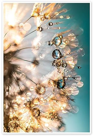 Posterlounge Sommer-Pusteblume in Türkis/Gold Poster