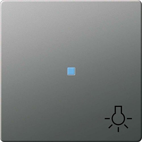 Gira 028520 Wippe Kontroll Symbol Licht Gira E22 Edelstahl