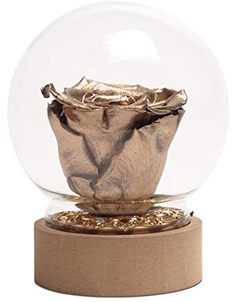 ROSEMARIE SCHULZ Heidelberg Rose im Glas Gold Rund die Schöne und das Biest echte Infinity Rose mit Glasglocke (Medium, Gold)