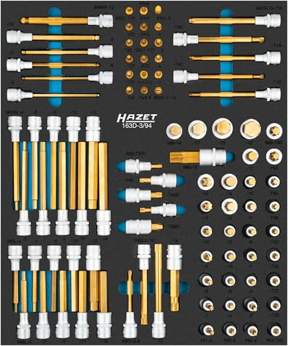 HAZET Schraubendreher-Steckschlüsseleinsatz-Satz 163D-3/94, TIN beschichtet | 1/4 Zoll (6,3 mm) Vierkant hohl, 1/2 Zoll (12,5 mm) Vierkant hohl, TIN beschichtet, Länge 522 mm, Breite 435 mm, Höhe 75 mm