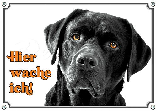 Hundeschild schwarzer Labrador Retriever - Premium Alu Schild - rostfrei, 2. DIN A4