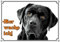 Hundeschild schwarzer Labrador Retriever - Premium Alu Schild - rostfrei, 2. DIN A4