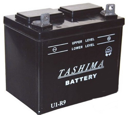 Greenstar 11780 Batterie U1.R9 chargée sans entretien