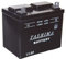 Greenstar 11780 Batterie U1.R9 chargée sans entretien