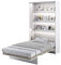 Schrankbett Bed Concept, Wandklappbett mit Lattenrost, V-Bett, Wandbett Bettschrank Schrank mit integriertem Klappbett Funktionsbett (BC-02, 120 x 200 cm, Weiß/Weiß, Vertical)