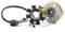 LICHTMASCHINE KOMPLETT * STATOR + ROTOR * 8-SPULEN LiMa für AGM BENZHOU YIYING REX JINAN QINGQI BAOTIAN JONWAY YIBEN JINLUN MOTINO BENERO FLEX TECH ROLLER GY6 50 139QMA 139QMB 4-TAKT