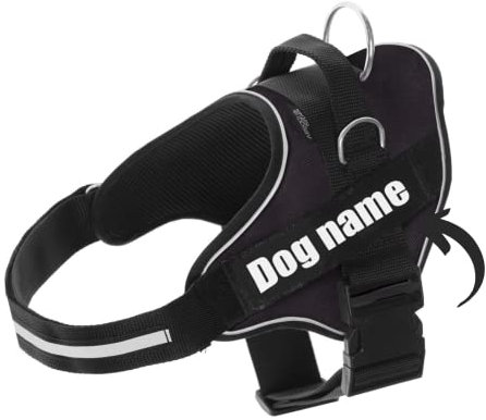 SUPER DOGGY Personalisiertes Hundegeschirr - Reflektierendes und sicheres Hundegeschirr - Enthält 2 Namensschilder, Klein, Mittel und Groß - Qualität und Beständigkeit (Negro, XS 3-7KG)
