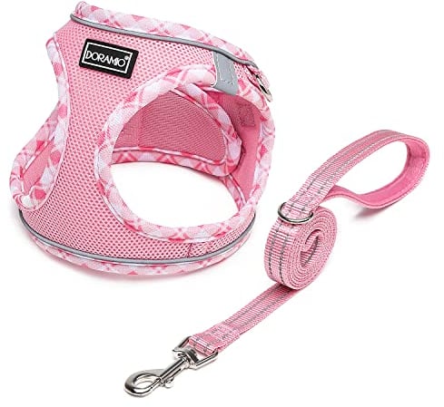 DORAMIO Hundegeschirr Kleine Hunde mit Leine, Step-in Geschirr Reflektierend Atmungsaktiv Brustgeschirr Anti Zug Sicherheitsgeschirr Katzengeschirr für Kleine Hunde, Katzen (Rosa, XS)
