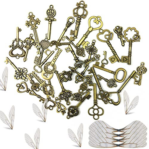 40 Stück Vintage Schlüssel Deko Antiken Anhänger Set,Vintage Bronze Skelettschlüsse mit Weiß Libelle Flügel Charm, Retro Anhänger Rustikalen Schlüssel für Halskette zum Herstellen, DIY