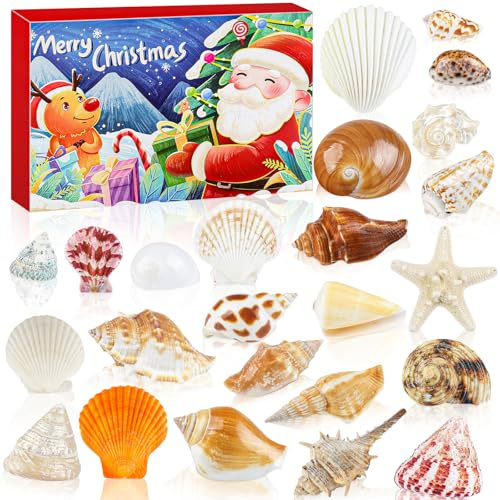Fangoo 24 Tage Weihnachten Adventskalender Strandmotiv Muschel Seestern Conch Geschenkbox 24 Set für Den 2025 Countdown bis Weihnachten Strandmotiv Weihnachtsdekoration Nautisches Geschenk