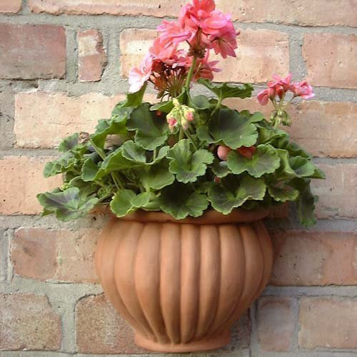 Weston Mill Pottery Terracotta Malay Wall Pot