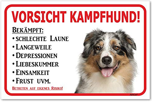AdriLeo Schild - Vorsicht Australian Shepherd Blue-Merle - Kampfhund - (20x30cm) / Aussie Achtung Hund Wachhund robust langlebig UV-beständig wetterfestes Warnschild