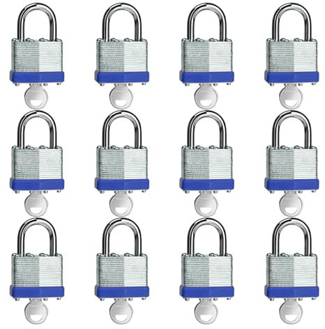 LQYN Vorhängeschlösser mit gleichem Schlüssel, laminiertes Vorhängeschloss (40 mm), gleichschließend, normaler Bügel, für Aufbewahrungsspind, Haspenriegel, Werkzeugkasten, Schuppen, 12 Stück