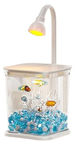 Aquarium für Küssenfisch - Glas mit LED-Umgebung, kompakter Fischtank für ruhigen Fisch | Moderne Dekoration 'Aquarium für den Schreibtisch des Hauses Outdoor