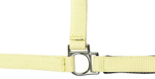 HKM Stars Softice Head collar with soft padding Milky Yellow Extra Full