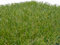 APOLO. 20 mm. Medidas 2 x 4 m (8 m2). El +Bello.