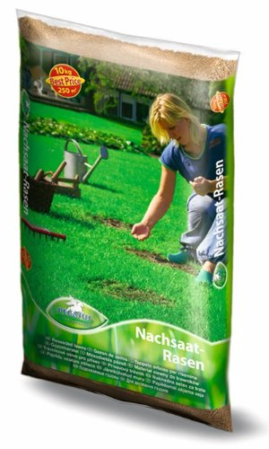 Rasenmischung, Pegasus Nachsaat, Inhalt: 10kg für ca. 250 m², schnell und leichter Lückenschluss - auch ohne Umgraben
