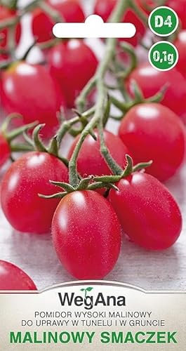 WegAna Tomate Malinowy Smaczek (Himbeer-Geschmack) Cherry Tomatensamen 0,1g, Robuste Gemüsesamen, Gemüse Samen, Samen Anzucht, Saatgut für Gewächshaus