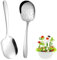 2 Piezas Cucharas para Servir, 25,2 x 7,2 cm Cucharas de Servir de Acero Inoxidable, Cucharas de Servir con Asas Largas, Cuchara de Ensalada, Cuchara para Buffet, Cafeterías, Hoteles, Picnics