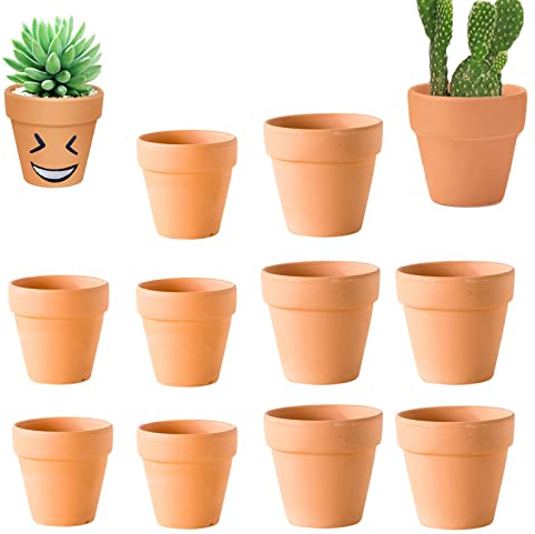 10 Unités Mini Pots de Fleurs en Terre Cuite Pots de Fleurs Intérieur/Extérieur 3 cm/4 cm, avec Trou de Drainage, pour Pépinière, Cactus et Plantes Succulentes, Décoration de Jardinage Bricolage
