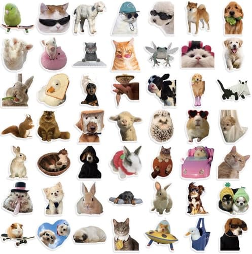 50 Pcs Cat and Dog Meme Stickers for Kids Teens Adults Boys Girls Gift,Meme Stickers Pack for Laptop,Skateboard,Luggage,Car,Bike, Cup,Computer,Water Bottle Decor,Vinyl Waterproof Sticker Decals