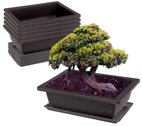 WIYETY Bonsai, 6 ciotole rettangolari per bonsai, con vassoio in plastica, per piante grasse, per giardino, soggiorno, terrazza e davanzale (23 x 17 x 8 cm)