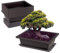 WIYETY 6 Stück Bonsai Trainingsschalen: Rechteckige Bonsaitöpfe mit Tablett aus Kunststoff, Sukkulente Pflanzen Pflanztopf, Pflanzgefäß für Garten, Wohnzimmer, Terrasse und Fensterbank(23x17x8cm)