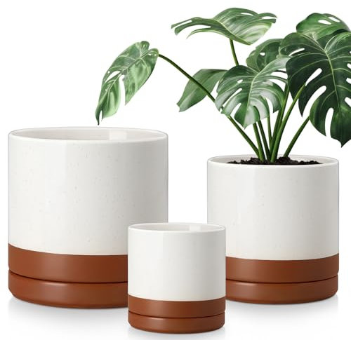 vancasso Lot de 3 pots de fleurs en céramique avec trous de drainage, 15 + 21 + 26 cm, kaki