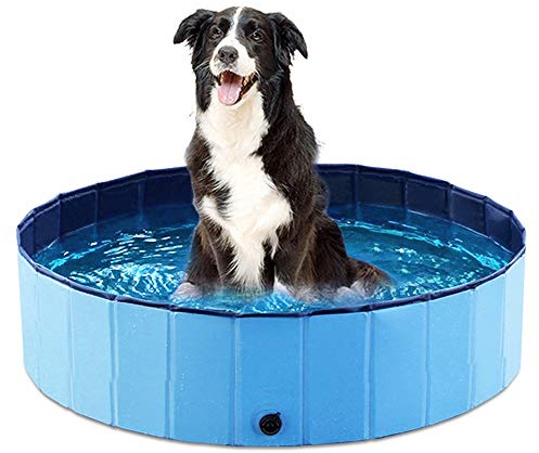 Jasonwell Foldable Dog Pet Bath Pool Collapsible Dog Pet Pool Bathing Tub Kiddie Pool Doggie Wading Pool for Puppy Small Medium Large Dogs Cats and Kids 32 Blue