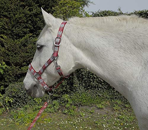 Rhinegold Carnival Headcollar & Rope Karnevals-Halfter und Seil, rot kariert, Cob