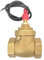 Durchflussmesser Baffle Type Flow Sensor Switch Reed Switch Sensor Switch 8-50L/min 250V DC 70W 2 Wire Saier Switch