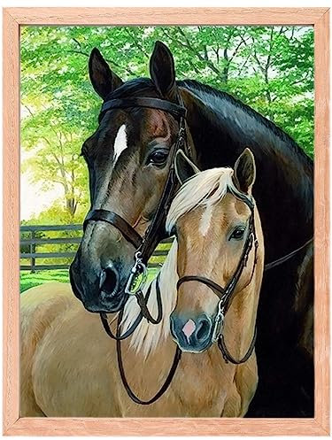 MISHBAY Diamond Painting - Pferde 30x40cm Diamond Painting Erwachsene - Diamant Painting Bilder mit Rahmen - DIY 5D Satz Wand Dekor Diamantstickerei