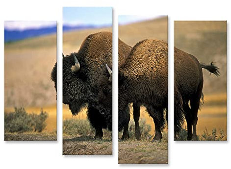 islandburner Prime Bild auf Leinwand Nordamerikanischer Bison Städte Bilder Wandbilder Poster