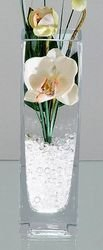 Bollweg Vase eck. 6X20 Quadro