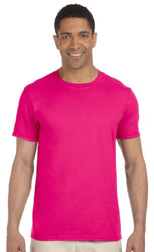 Gildan Ladies Soft Style Short Sleeve T-Shirt (L) (Heliconia)