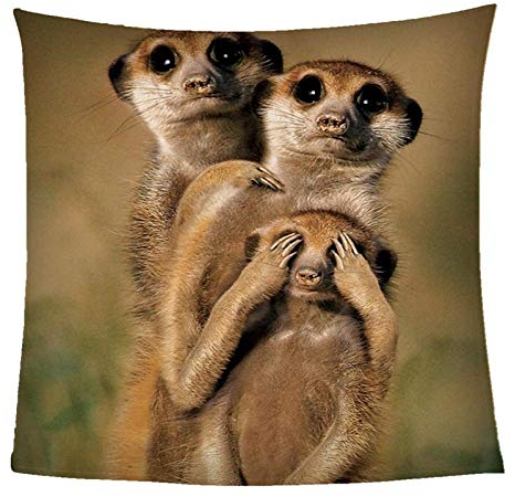 ZZZXX Kuscheldecke Flauschige Steppentier Erdmännchen Familie 150X200Cm Wohndecke Kuscheldecke Flauschige Warme Flanell Decke Cashmere-Feeling Sofadecke Mit 3D Printing