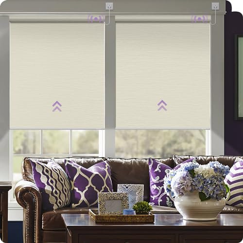Graywind Customised Smart Blackout Roller Blinds Compatible with Alexa Google, Delicate Design Texture Wifi Hardwired Electric Blinds with Remote, Motorised Window Shades, Striped Beige