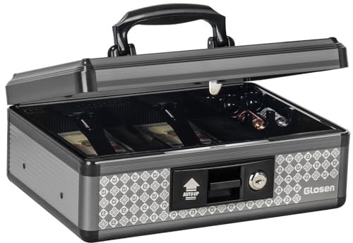 Cash Box with Lock, Money Box with Key & Removable Coin Tray 8.85 * 5.3 * 11.8 inch (Large)