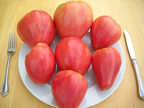 40 Graines Rose de Sibérie Rozovyi Myod- Tomate Miel Seeds- 2018