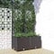 HUAKEHOM Pflanzkübel mit Rankgitter Blumenkübel Pflanzkasten Blumentopf Blumenkasten Rankhilfe Spalier Gartenspalier Schwarz 80x40x136 cm PP