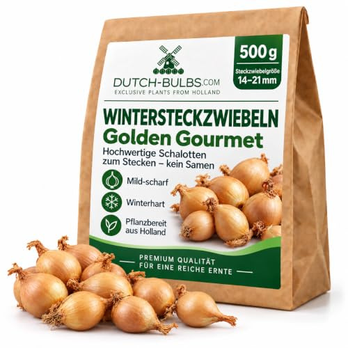 Vinterschalottenlök Golden Gourmet – 500g Schalottenlök – Mildt Stark