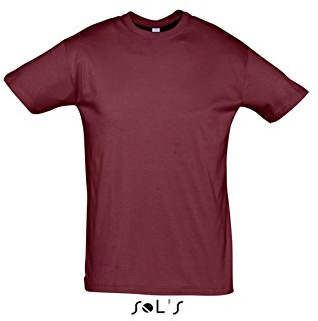 SOLS Herren Sol's Imperial T-Shirt