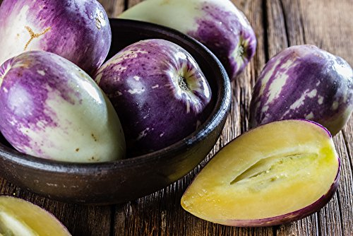 Pepino Birnenmelone 5 Samen, Solanum muricatum