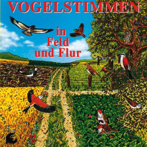 Vogelstimmen in Feld und Flur