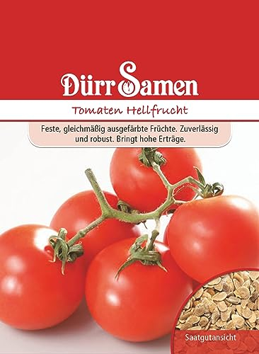 Tomaten Samen Hellfrucht Rote Tomate Tomatensamen ca 80 Korn Saatgut Robust Ertragreich Garten Hochbeet Kübel Dürr Samen