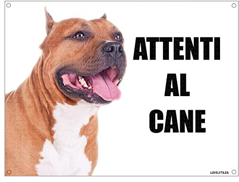PITBULL attenti al cane mod 3 TARGA cartello IN METALLO (20X30)