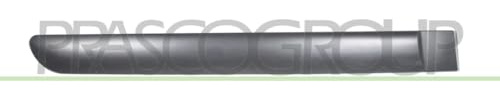 PRASCO CI3221451 Baguette et bande protectrice porte arrière droite Compatible avec CITROËN C3 I 3/5 portes FC, FN