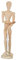 KopSho Modellpuppe / Gliederpuppe / Gliederpuppe 30 cm weiblich, klar lackiert
