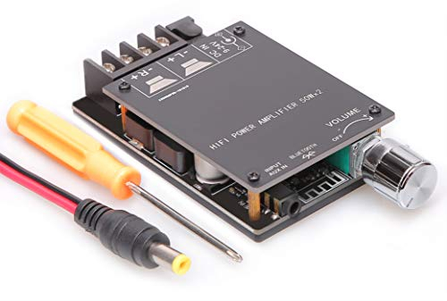 OWAYKEY DAMGOO Bluetooth 5.0 Amplifier Board,100w Audio Amp Board Dual Channel DC8-24V,Easy Installation and Password Free Connect to Phone Quietly