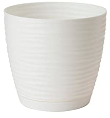 Acan Tradineur - Maceta Redonda con Plato - Diseño Sahara (Ø 15 cm) - Fabricado en plástico - Ideal para jardín Exterior, terraza o balcón - Color Blanco